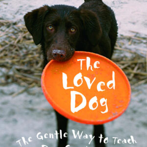 Loved Dog