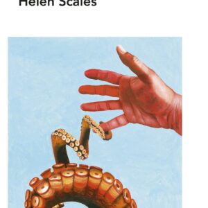 Octopuses: A Ladybird Expert Book