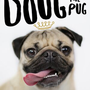 Doug The Pug