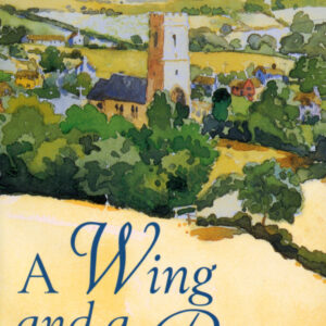 Wing And A Prayer