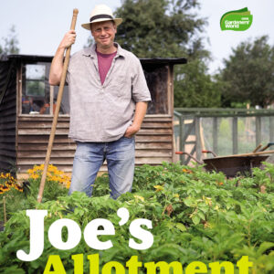 Joe's Allotment