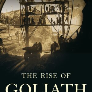 The Rise Of Goliath: Twelve Disruptions That Changed India