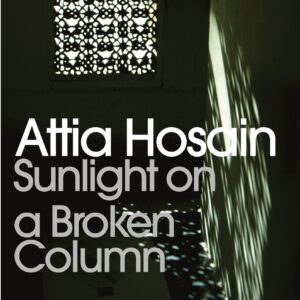 Sunlight on a Broken Column