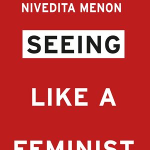 Seeing Like a Feminist