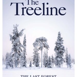 Treeline
