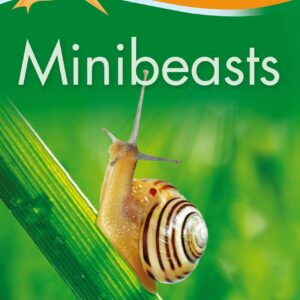 Kingfisher Readers: Minibeasts (Level 3: Reading Alone with Some Help)
