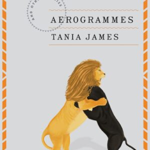 Aerogrammes And Other Stories