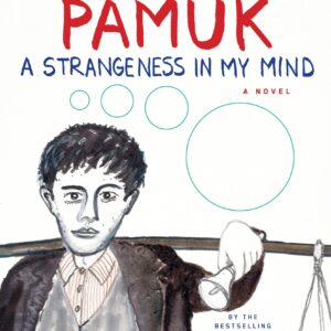 A Strangeness in My Mind