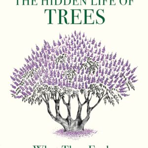 The Hidden Life of Trees