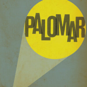 Mr Palomar