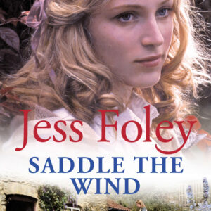 Saddle The Wind