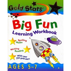 Gold Stars Big Fun Learning Workbook