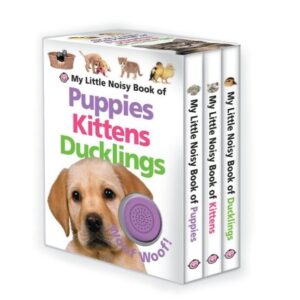 My Little Noisy Book