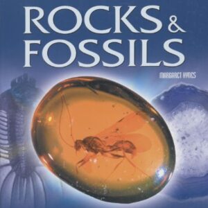 Rocks & Fossils