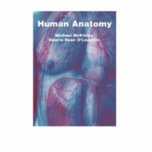 Human Anatomy
