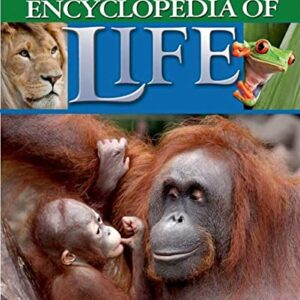 THE KINGFISHER FIRST ENCYCLOPEDIA