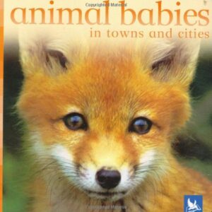 Animal Bobies In Towns And Cities