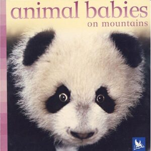 Animal Bobies On Mountains