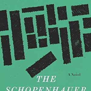 The Schopenhauer Cure