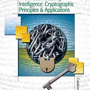 Information Security Intelligence