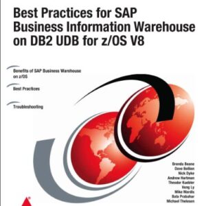 Best Practices For Sap Business Information