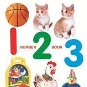 Preschool Picture Book