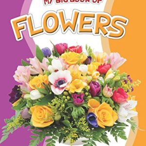 My Big Book Of Flowers
