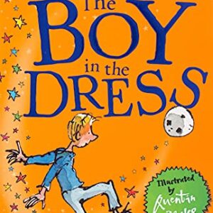 The Boy In The Dress