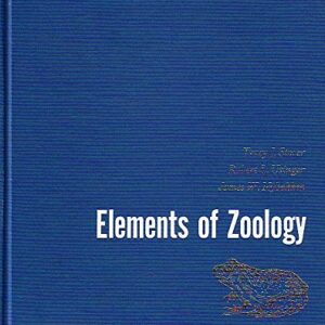 Interest Rates And Time Value Of Money