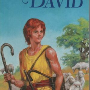 David Famous Stories From The Bible