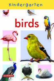 Kindergarten Birds