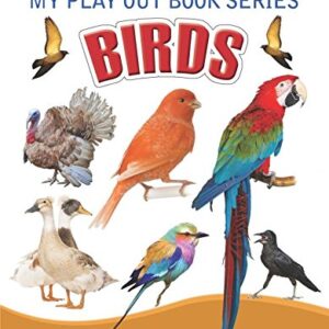 My Play Out Book Series Birds
