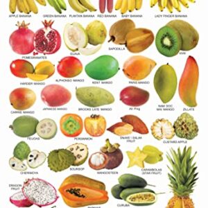 Pre School Fruit Chart 5