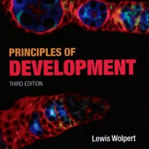 Principles Of Development