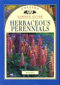 Herbaceous Perennials