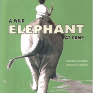 A Wild Elephant At Camp