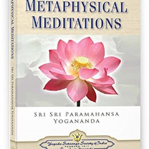 Metaphysical Meditations