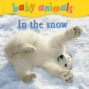 Baby Animals In The Snow