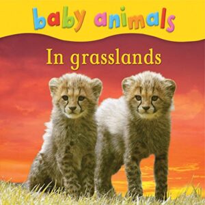 Baby Animals In Grasslands