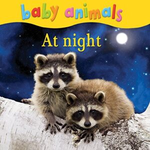 Baby Animals At Night