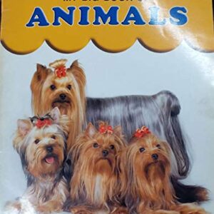 My Big Book Of Animals