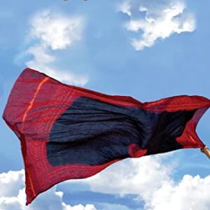 Sarpanch Sahib Changing The Face Of India