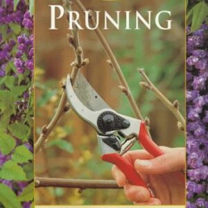 Sunset Pruning