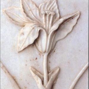 The Moonlight Garden