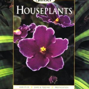 Sunset Houseplants