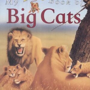 My Best Book Of Big Cats