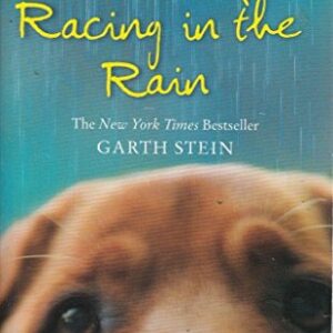 The Art Of Racing In The Rain