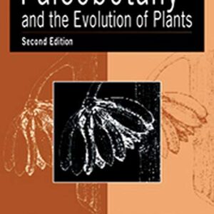 Paleobotany And The Evolution Of Plants