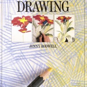 Step By Step Art School Drawing