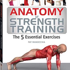 Anatomy of Strength training